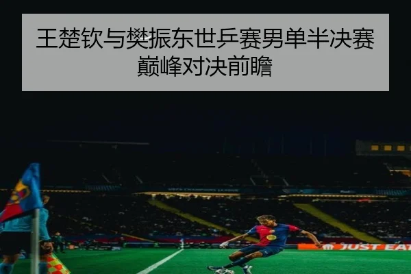 王楚钦与樊振东世乒赛男单半决赛巅峰对决前瞻