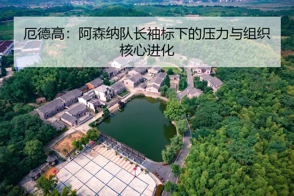 厄德高：阿森纳队长袖标下的压力与组织核心进化